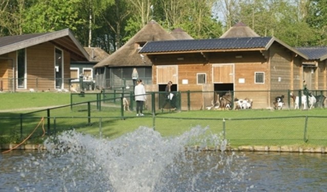 Een overzichtsfoto van de Vennepse kinderboerderij.