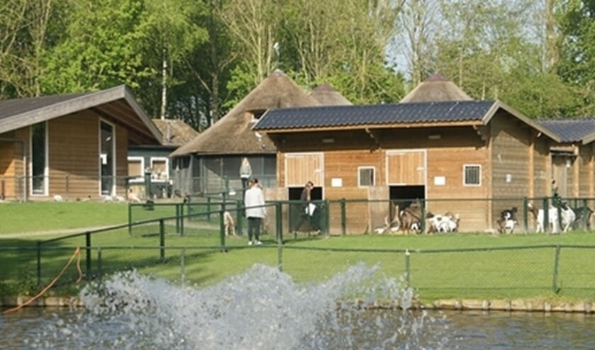 Een overzichtsfoto van de Vennepse kinderboerderij.