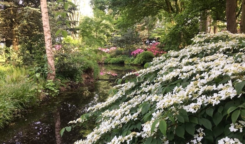 Kom gezellig kijken bij de open tuinendagen.