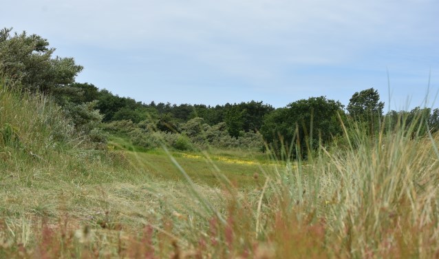 Westert en de Bleek.