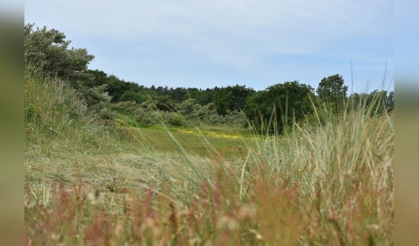 Westert en de Bleek.