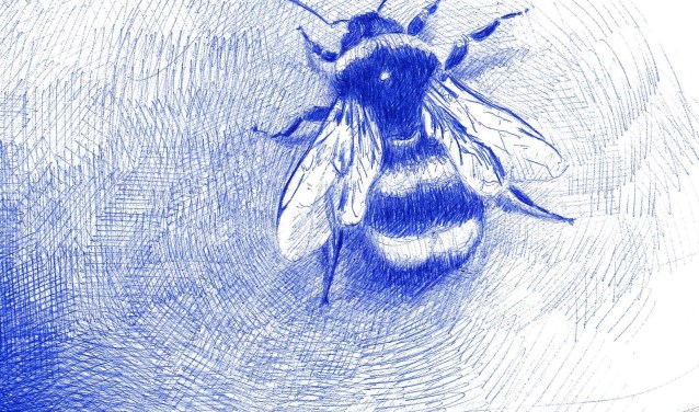 Insecten, planten en bloemen in de tuin staan model voor de tekeningen.
