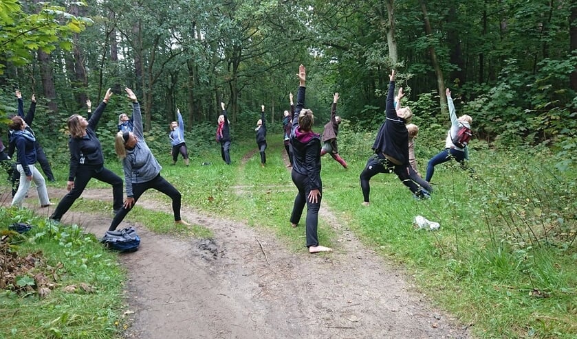 Word fit dankzij yoga in de Schoorlse duinen.