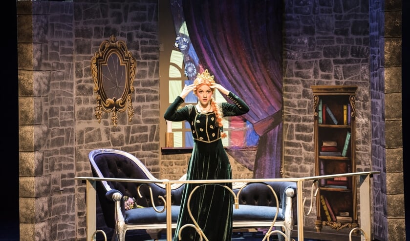 JTS speelt elk jaar verschillende producties in het theater.