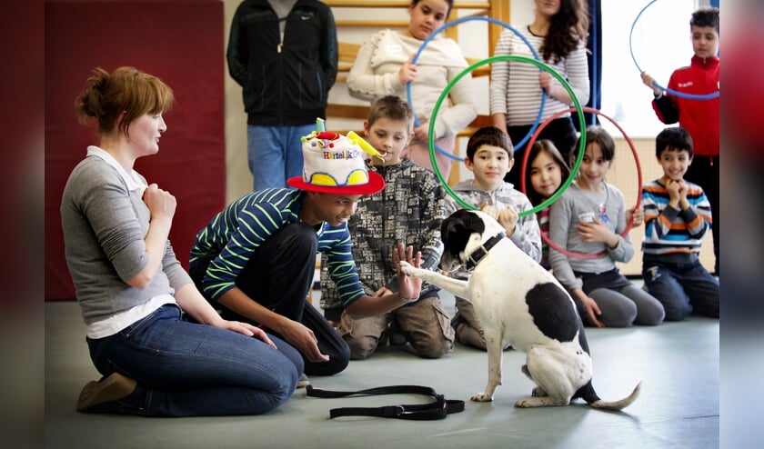In de les leer je omgaan met honden.