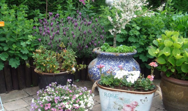Open tuinfestival Obdam.