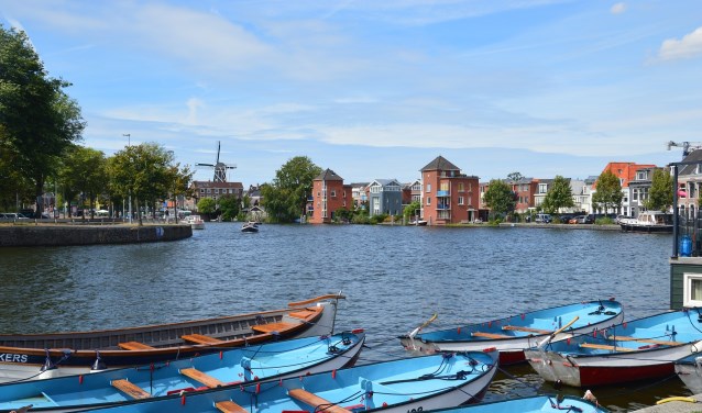 De havendienst wordt meer geprofessionaliseerd.
