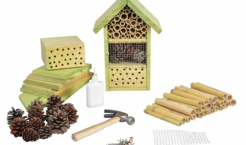 Kom 26 juni naar de Baak voor het maken van een insectenhotel.