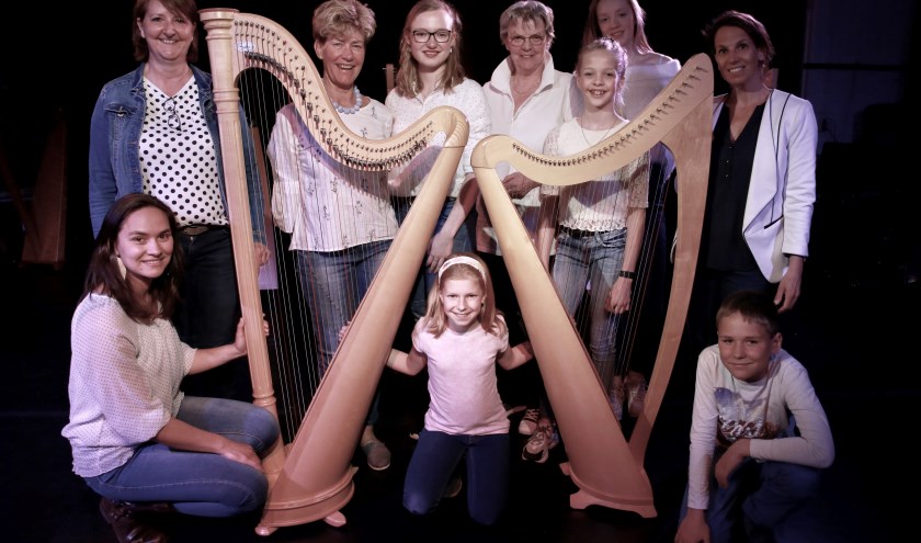 Kennemer Harpensemble.
