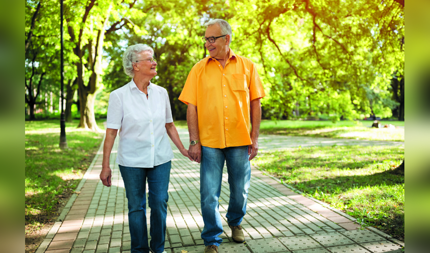De 10e wandelmiddag4daagse voor 55-plus voert door prachtige gebieden in Beverwijk en Heemskerk.