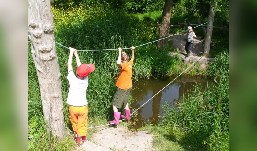 Klauteren en ravotten in de natuur.
