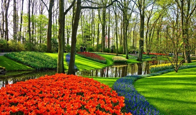 Ziet u op zaterdag 15 en/of zondag 16 juni een groen bordje met 'open tuin' langs de kant van de weg staan, aarzel dan niet en stap gerust deze tuin binnen.