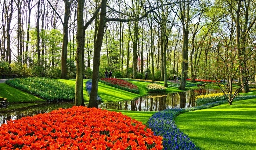 Ziet u op zaterdag 15 en/of zondag 16 juni een groen bordje met 'open tuin' langs de kant van de weg staan, aarzel dan niet en stap gerust deze tuin binnen.