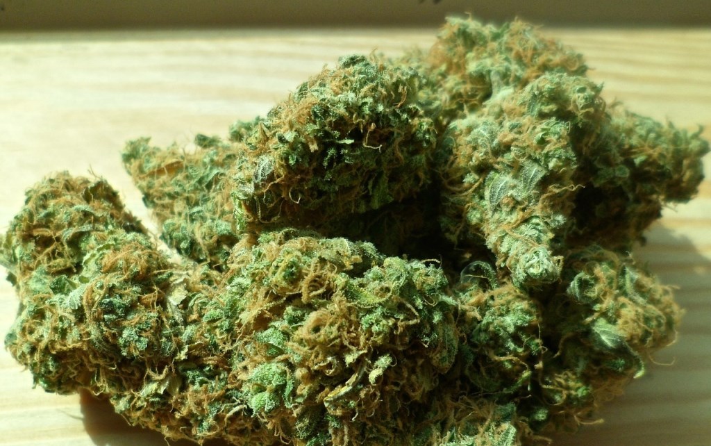 Cannabis.