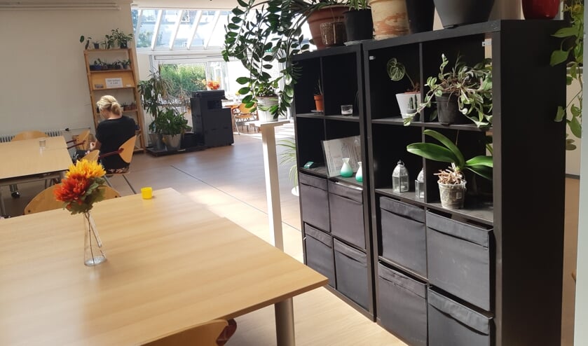 Planten hebben ook verzorging nodig.
