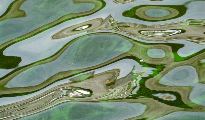 Wonderbaarlijk spel van reflecties op het water.