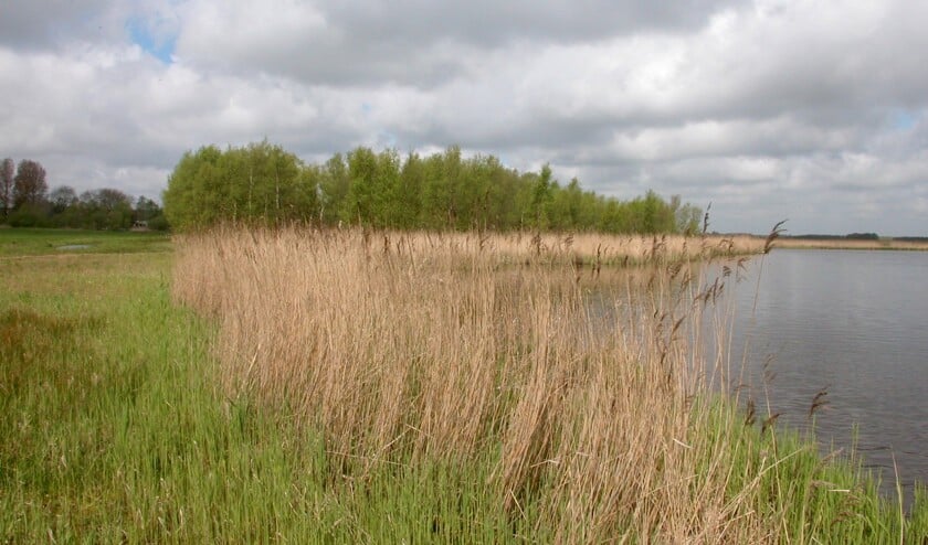 Zuiderschorre