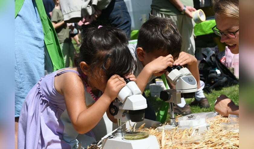 Kijken door een microscoop naar waterbeestjes.