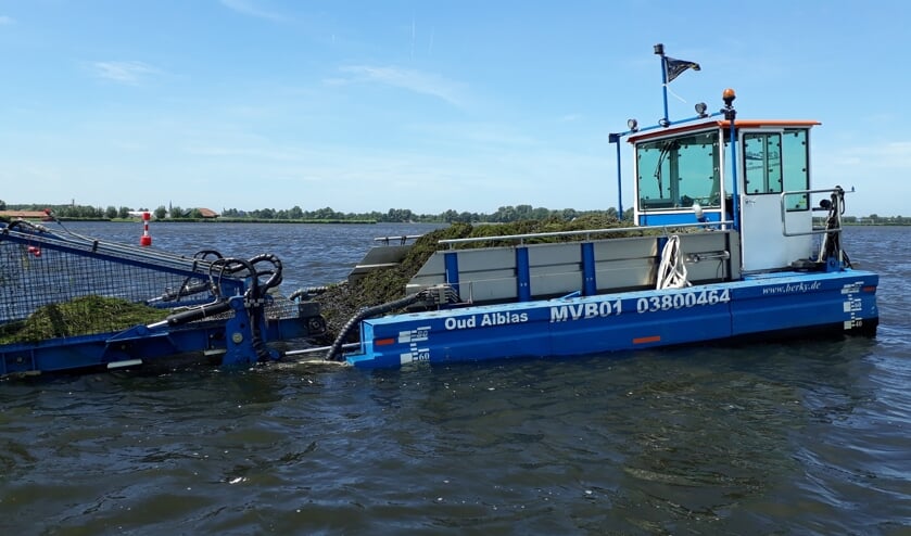Maaiboot