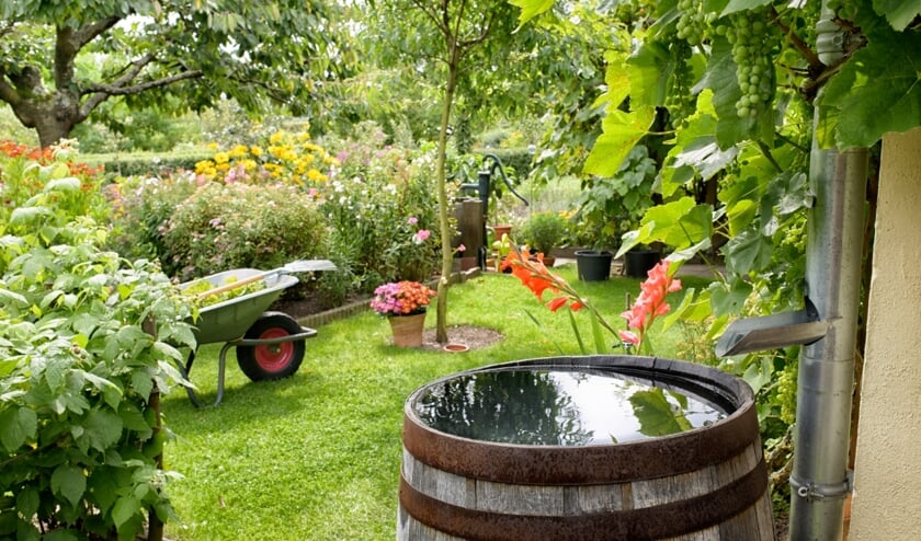 Ook dit jaar is boodschap: wees bewust met water.