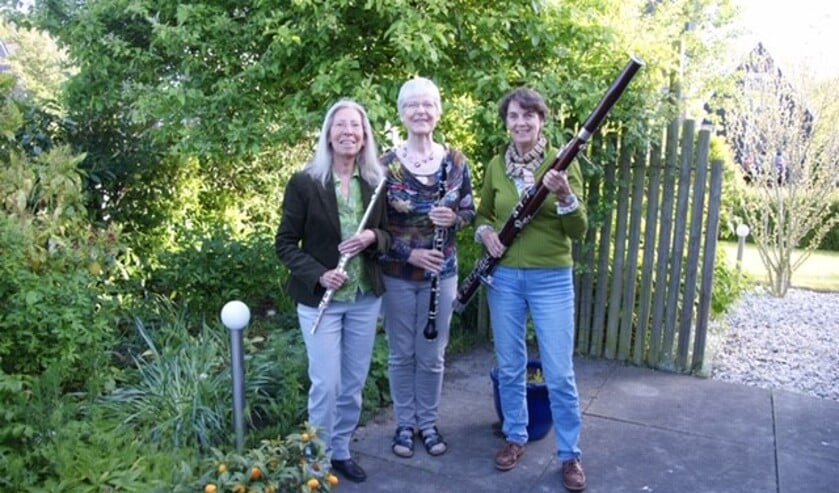 Een serie van zes zomeravondconcerten kan worden bijgewoond in Ontmoetingskerk.