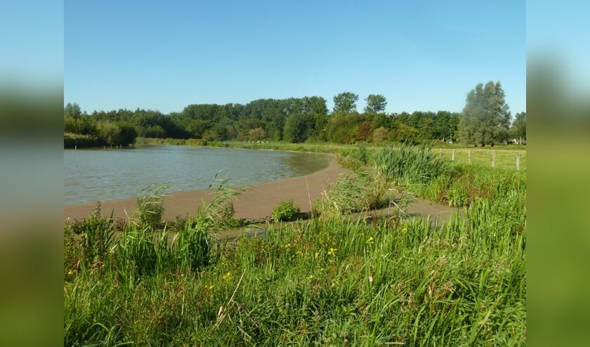 Waterpartij Suyderbraeck.