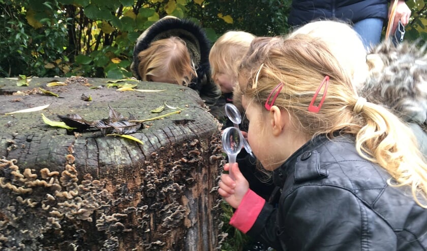 MAK Blokweer is op zoek naar iemand die het leuk vindt om samen met kinderen in de dieren- en plantenwereld actief op ontdekking te gaan.