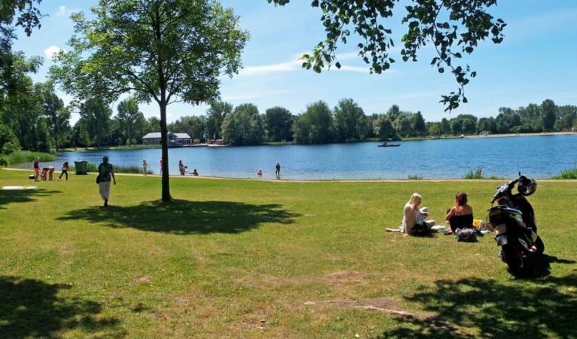 Het Haarlemmermeerse Bos.