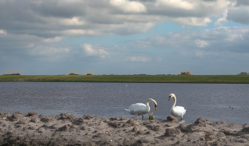 Uitzicht over de plas.