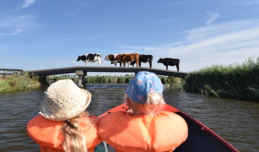 Eilandspolder nabij Driehuizen.