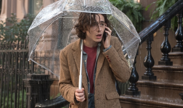 Timothée Chalamet in 'A Rainy Day in New York'.