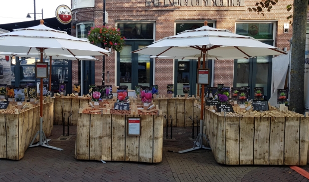 <p>Zondag 4 oktober staan bloembollen centraal bij Hortus Alkmaar.</p>