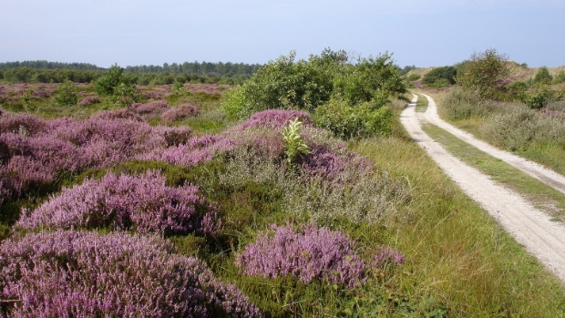 Wandel gezellig mee