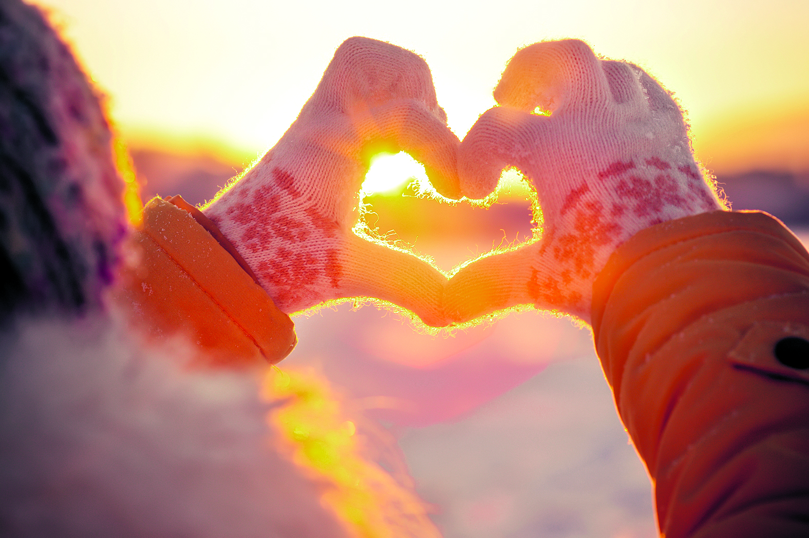 (Foto: Shutterstock)