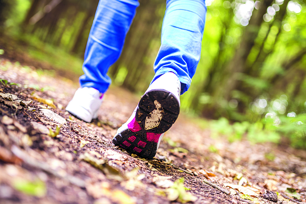 Wandel mee met de wandeltocht van Sportief Wandelen Stede Broec. (Foto: Shutterstock)