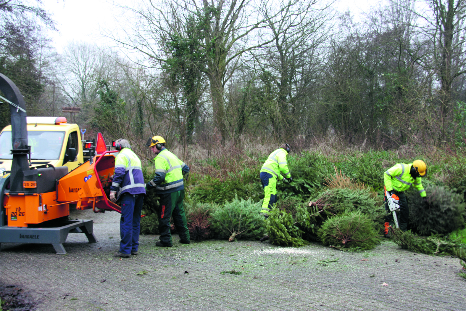 De kerstbomen mogen weer ingeleverd worden in gemeente Schagen. (Foto: gemeente Schagen)