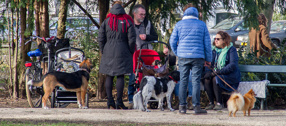 Buurtbewoners. (Foto: gemeente Amsterdam)