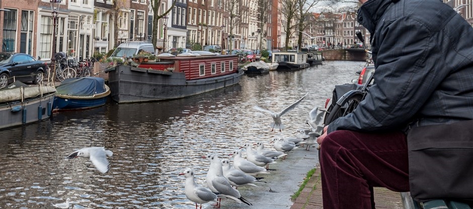 Ontdek ook waar de dieren wonen en zie hoe dichtbij de natuur is in de stad. (Foto: gemeente Amsterdam)