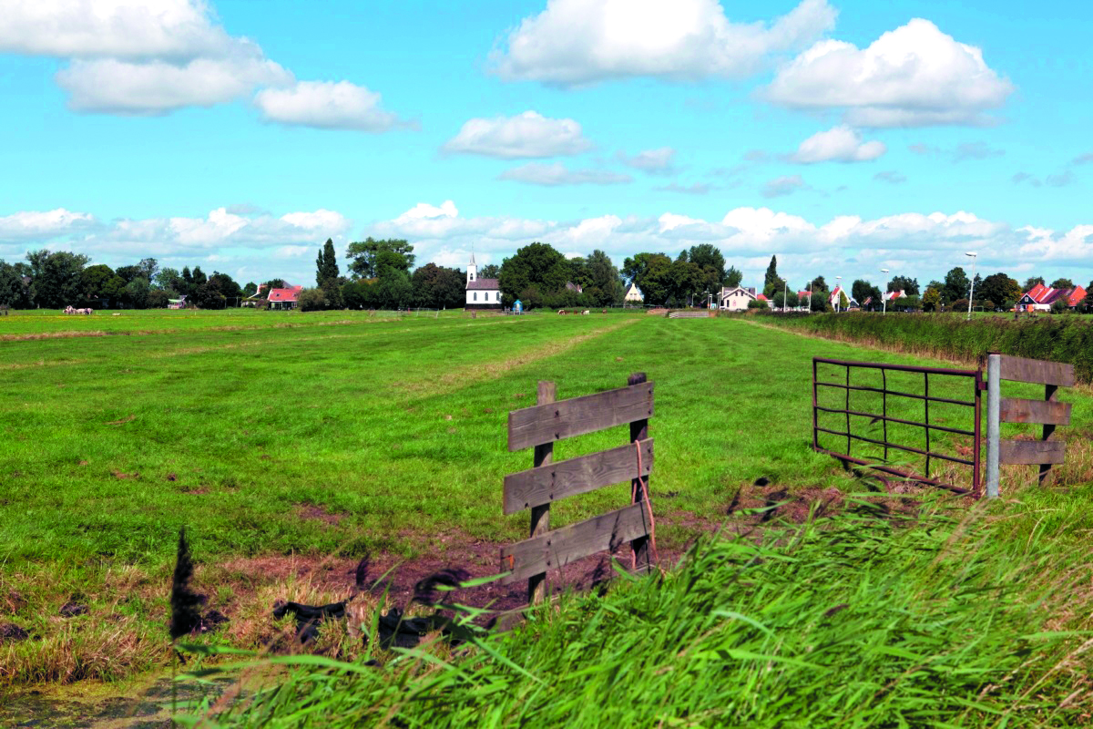 Natuurgebied de Munt biedt prachtige wandelroutes. ( Foto: aangeleverd)