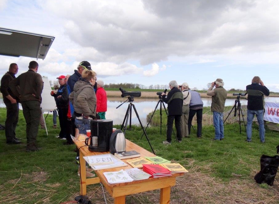 Waterberging Twisk: een prachtige locatie om vogels te bekijken. (Foto: Douwe Greydanus)
