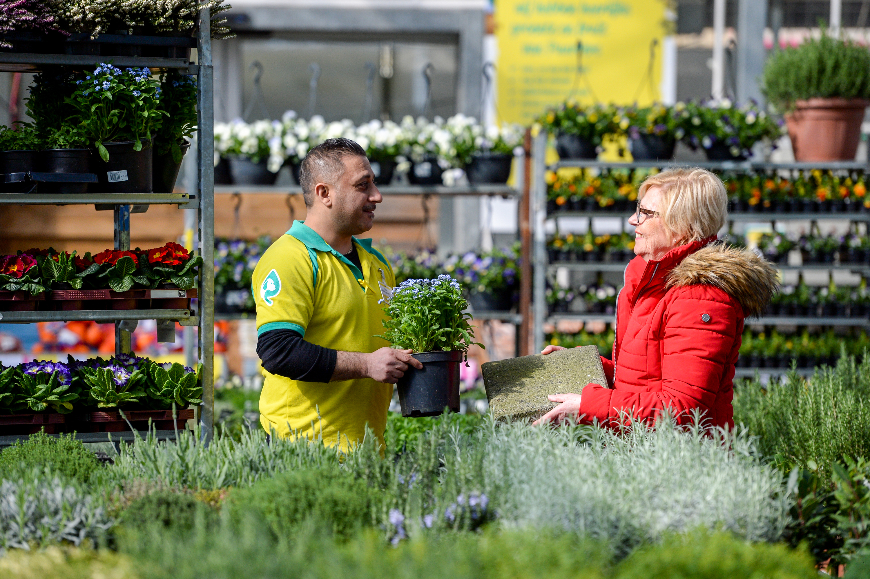 Ruil een tegel in voor een vaste plant bij Welkoop, Praxis of Ranzijn. (Foto: Duurzaan)