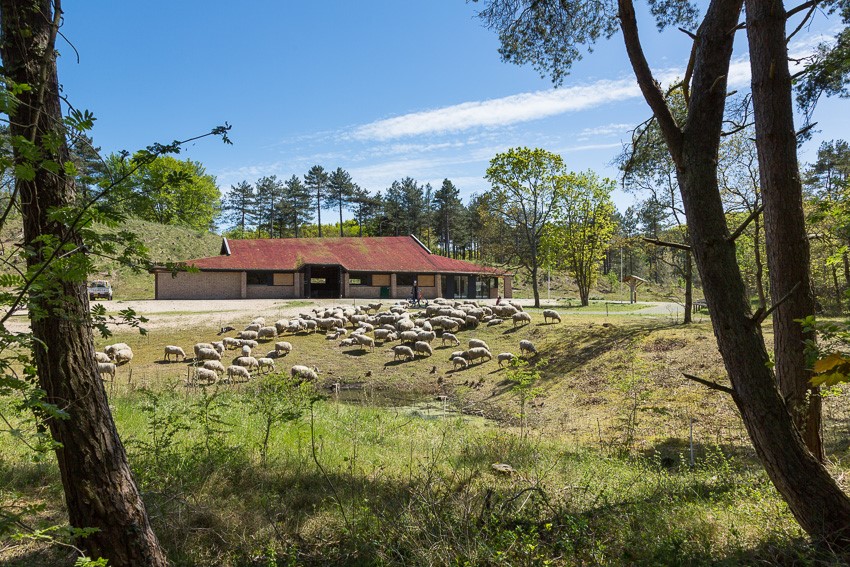 Schaapskooi Bergen. (Foto: aangeleverd)