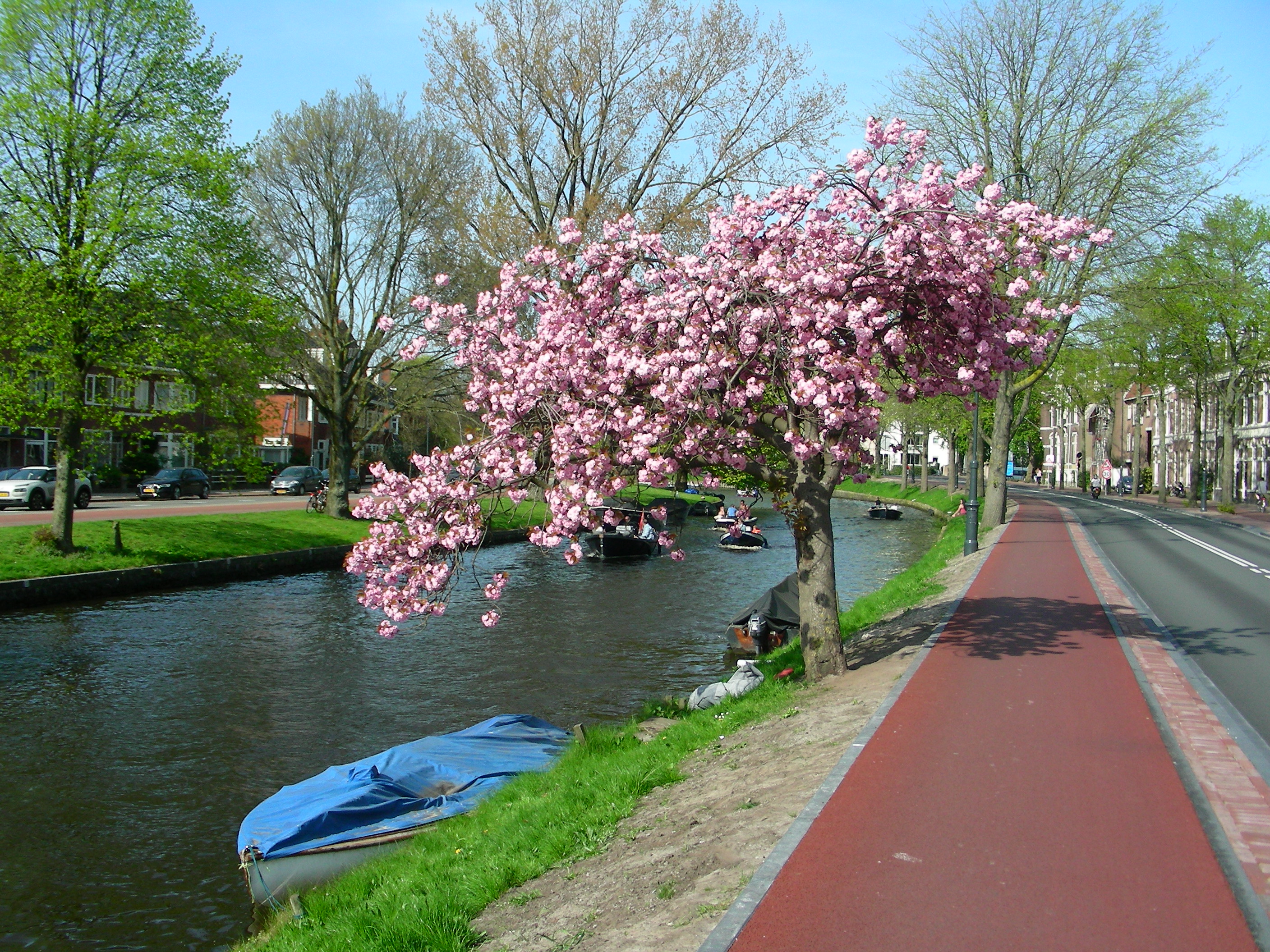 (Foto: Ad Timmers)