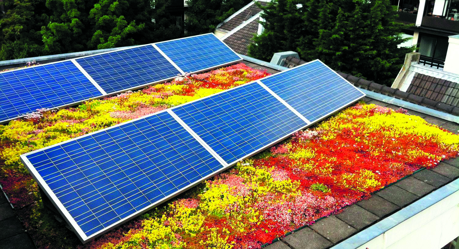 Zonnepanelen leveren in de winter weinig op. (Foto: Rodi Media)