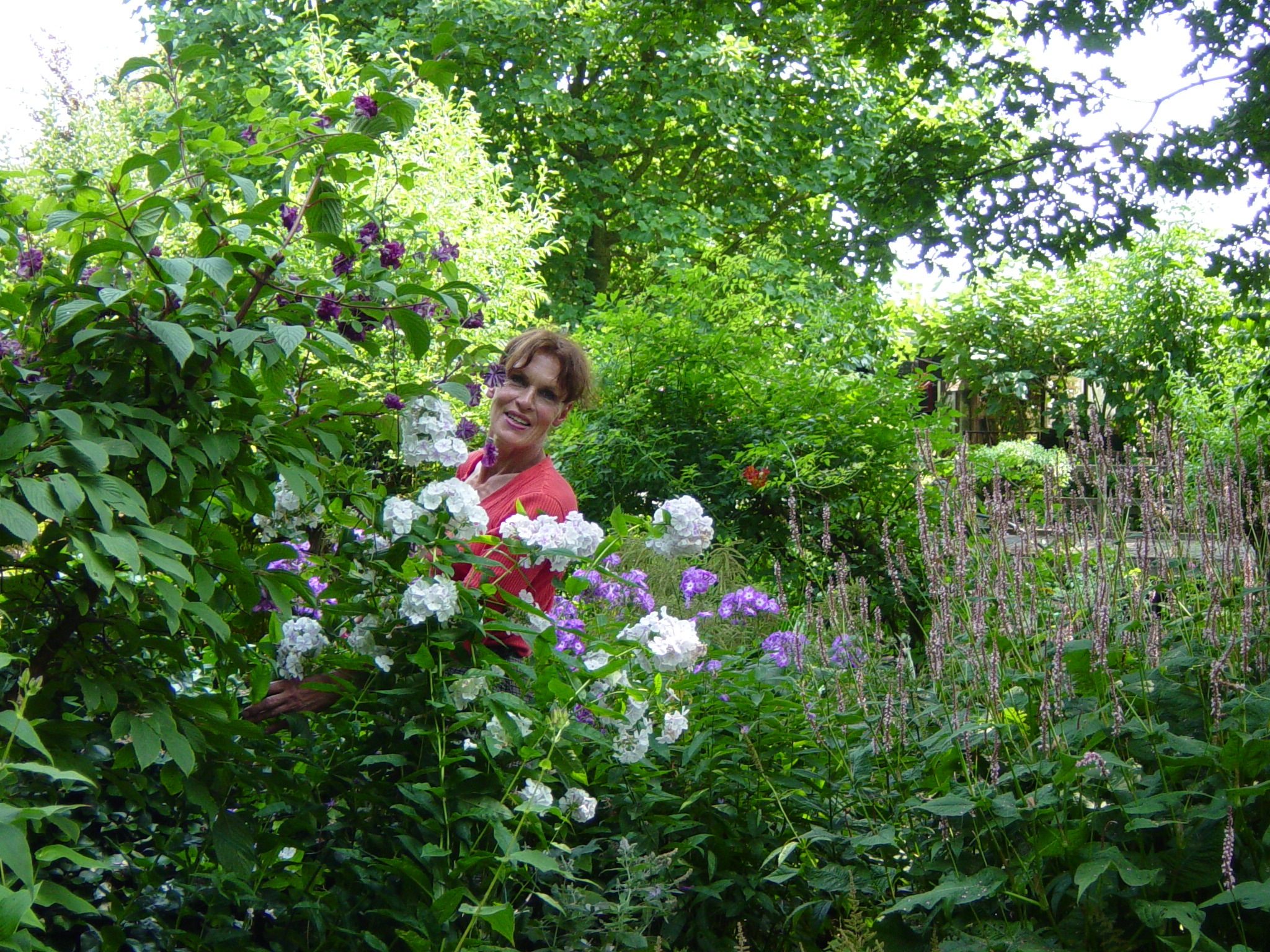 De tuin van de familie Meeuwis is dit weekend te bezoeken. (Foto: aangeleverd)