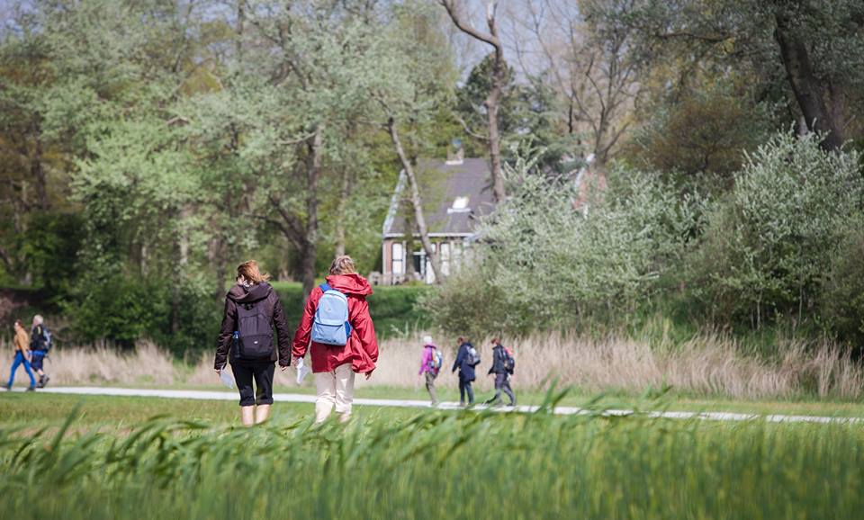 (Foto: Wandel4daagse Haarlem)
