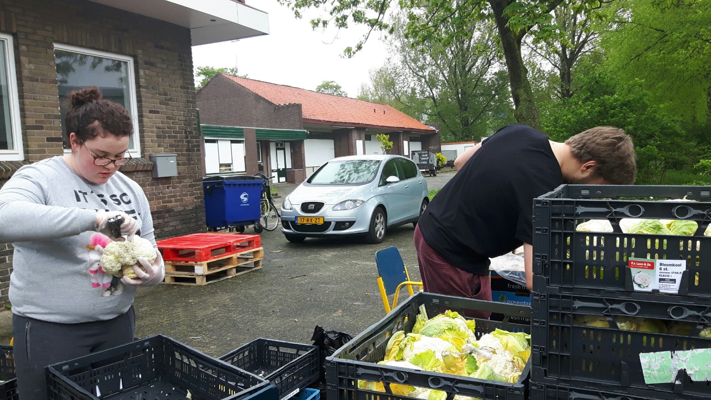 Oostzaanse jeugd steekt handen uit de mouwen