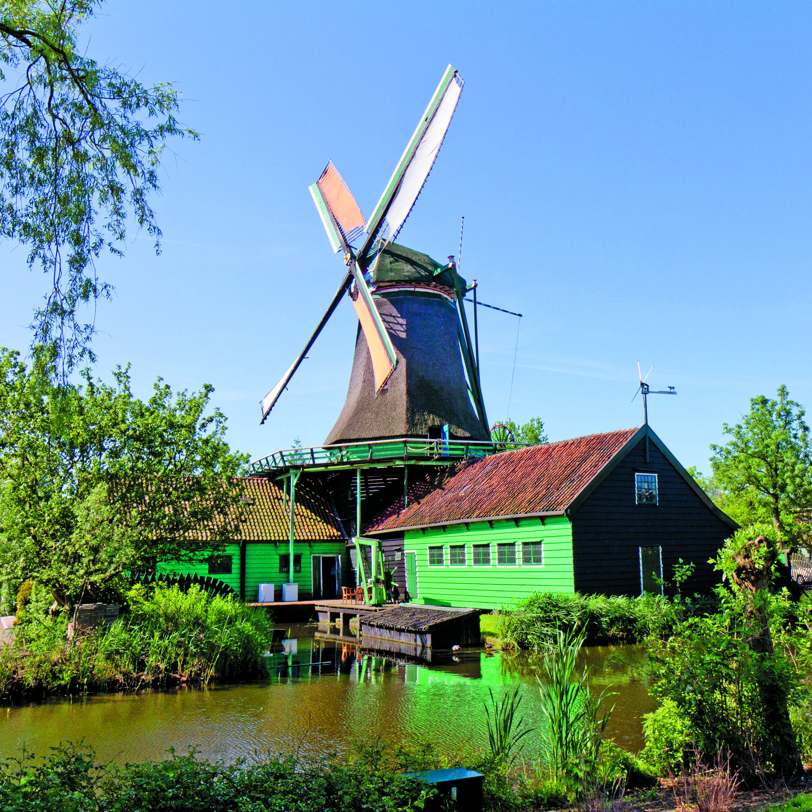 Molen Het Pink. (Foto: Andre Koopal)