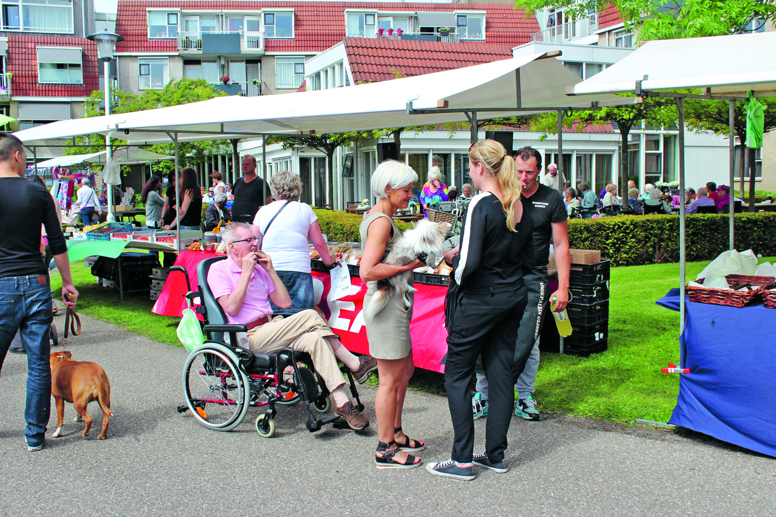 Kom lekker rondstruinen langs de kraampjes op de Avondlichtmarkt. (Foto: aangeleverd)