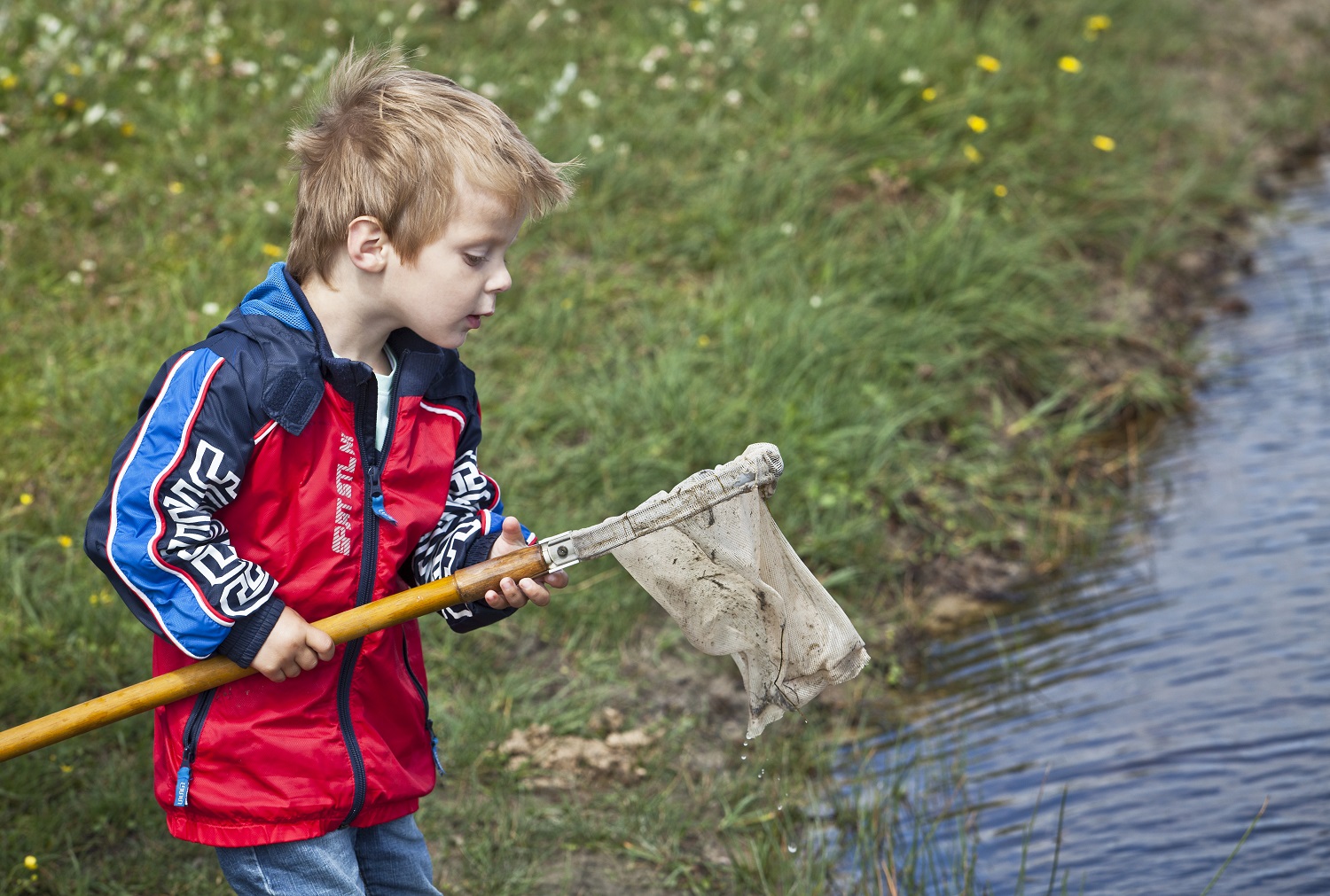 Ontdek wat er leeft onder water bij de Eendenkooi van 't Zand. (Foto: Dutchphoto)